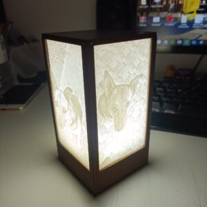 lámpara litofanías